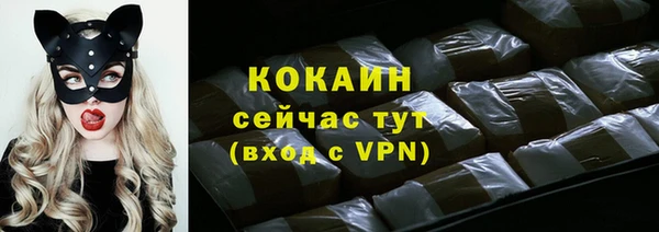 кокс Гусь-Хрустальный
