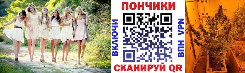Канабис White Widow  Купить  Киреевск 